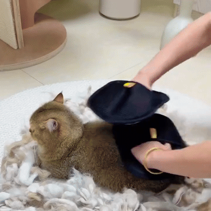 Fur Snatch™